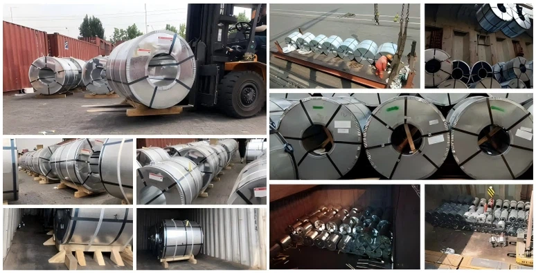 Hot Dipped Galvanised Steel Coil Hot Dipped Galvanised Steel Coil
